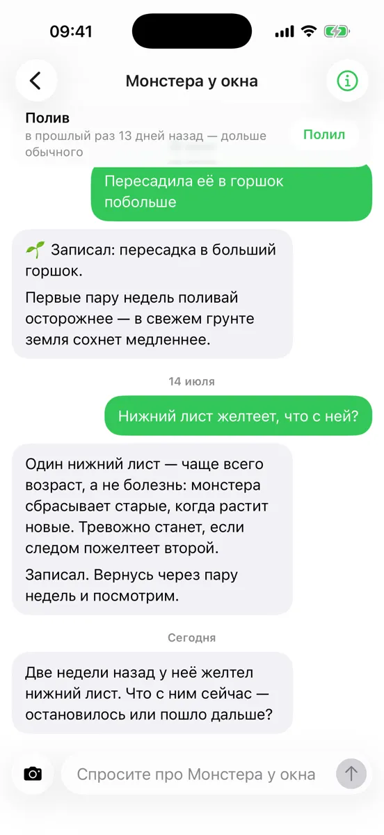 Переписка с Рути: он сам возвращается к пожелтевшему листу